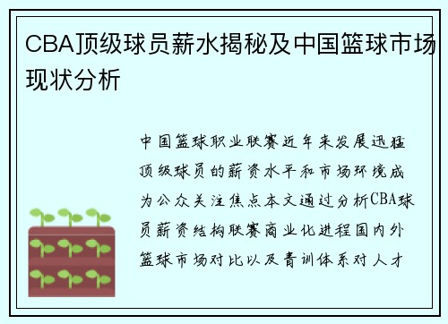 CBA顶级球员薪水揭秘及中国篮球市场现状分析